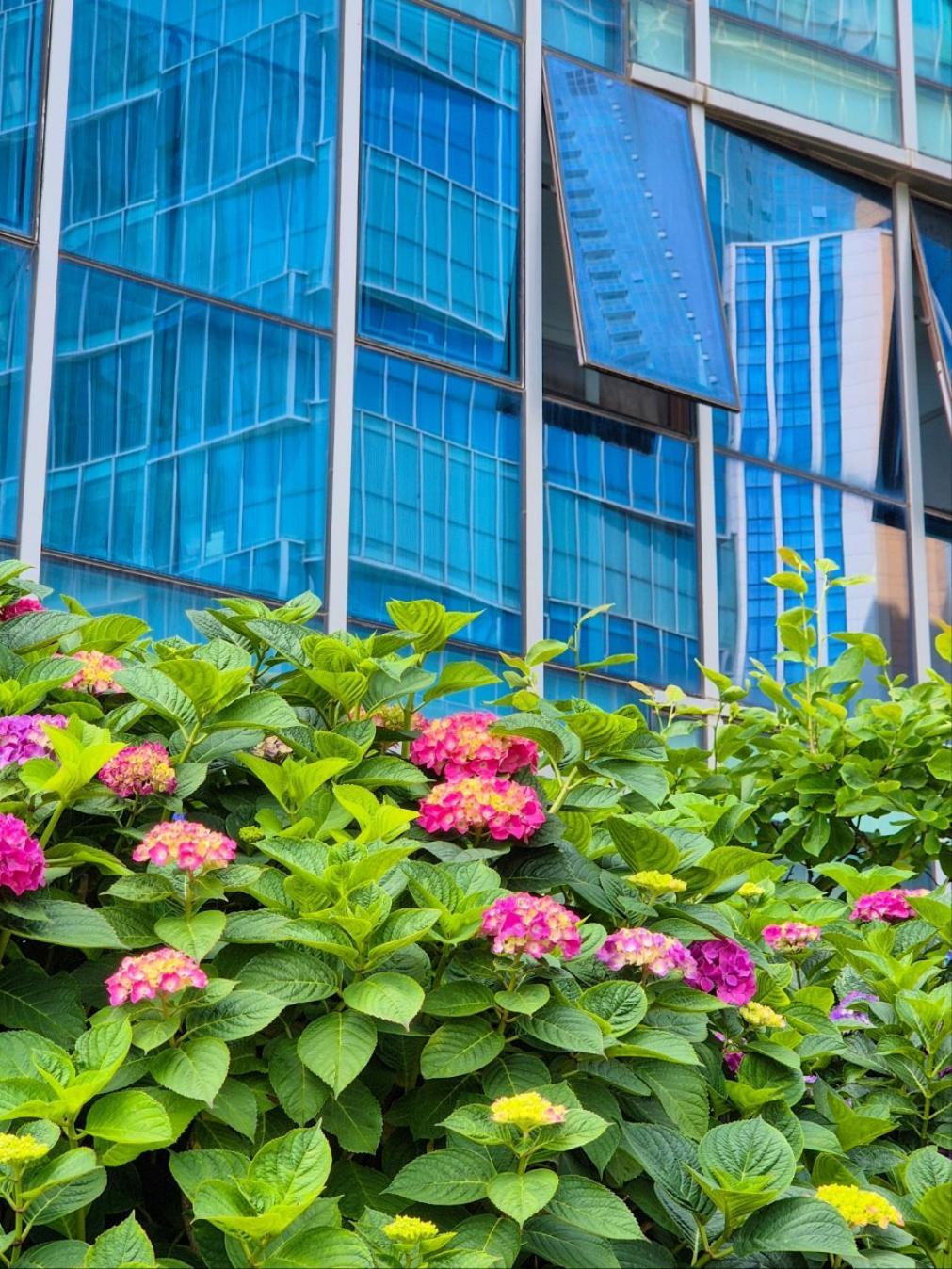 Pale De Cz Condo Ciudad Metropolitana de Ciudad Metropolitana de Busan Exterior foto